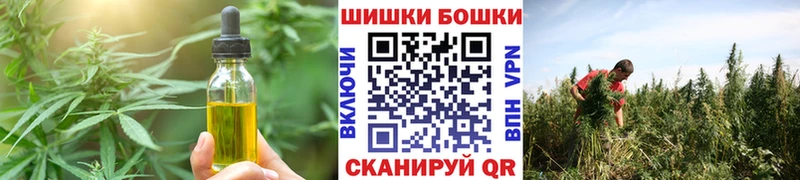 закладка Старая Русса Cannafood марихуана