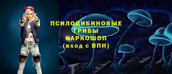 дурь Алексин